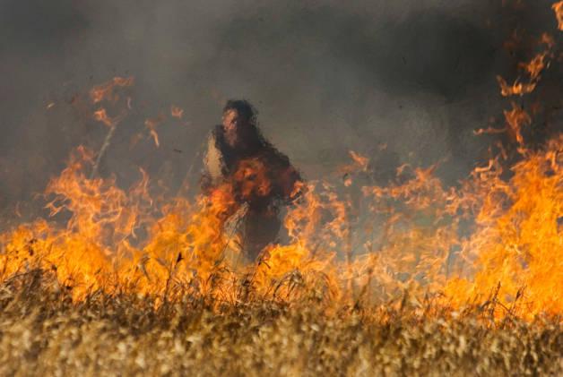 НЕТ палам сухой травы!. НЕТ палам сухой травы!.